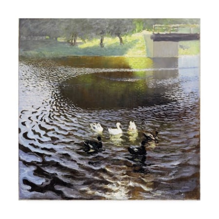 Johann Walters 'Ducks' Canvas Art,35x35